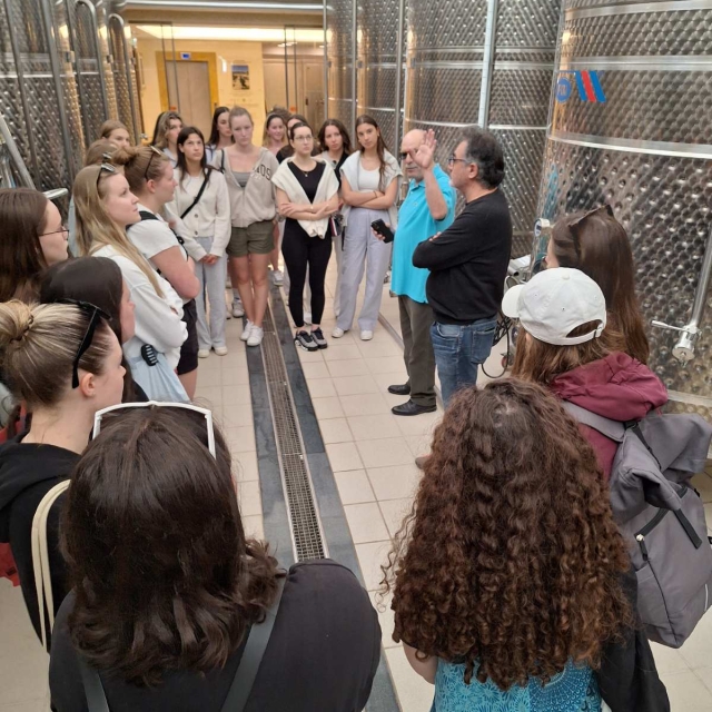 Επίσκεψη σχολείου Marienberg από Bregenz Αυστρίας